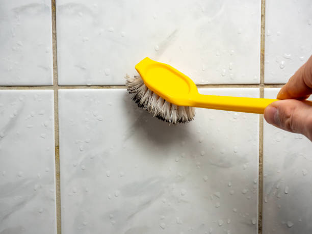 Best Best Mold Removal Companies  in Tlassee, AL