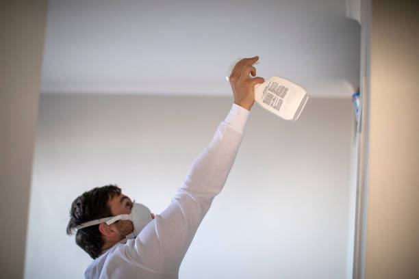 Best Commercial Mold Removal  in Tlassee, AL