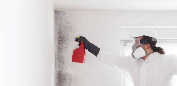 Best Emergency Mold Removal  in Tlassee, AL