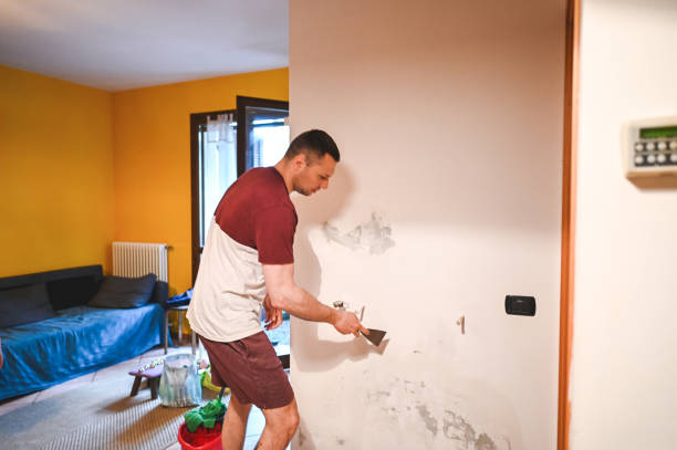 Best Attic Mold Removal  in Tlassee, AL