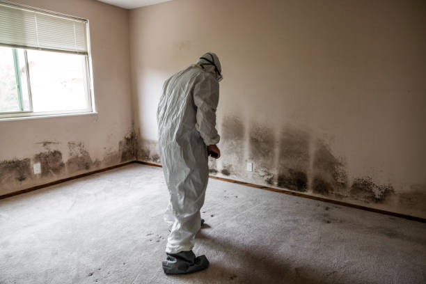 Best Crawl Space Mold Removal  in Tlassee, AL