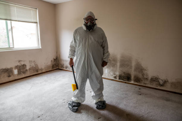 Best Mold Cleaning Services  in Tlassee, AL